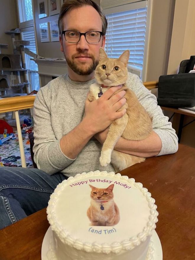 These Funny Spoiled Cats Are Living A Great Life