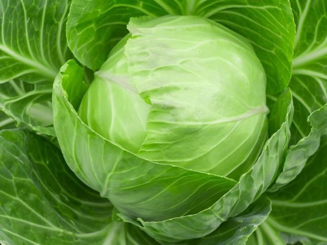 13 Wonderful Health Benefits Of Cabbage
