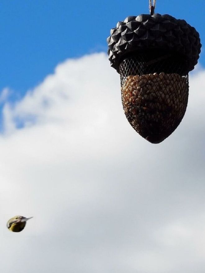 15 Most Hilarious Animal Photos You've Ever Seen