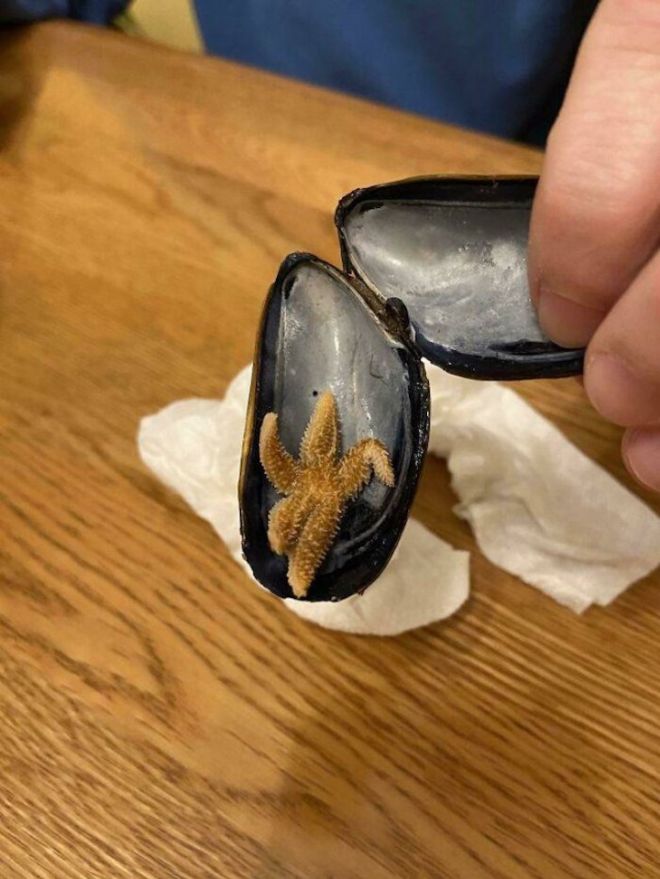 16 Amazing Small Treasures Discovered Accidentally By Humans