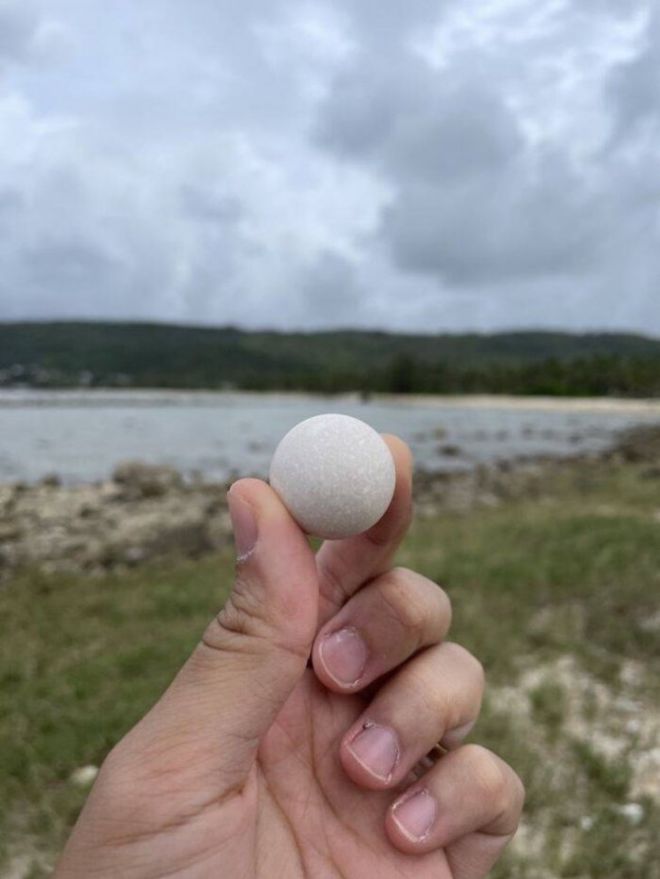 16 Amazing Small Treasures Discovered Accidentally By Humans
