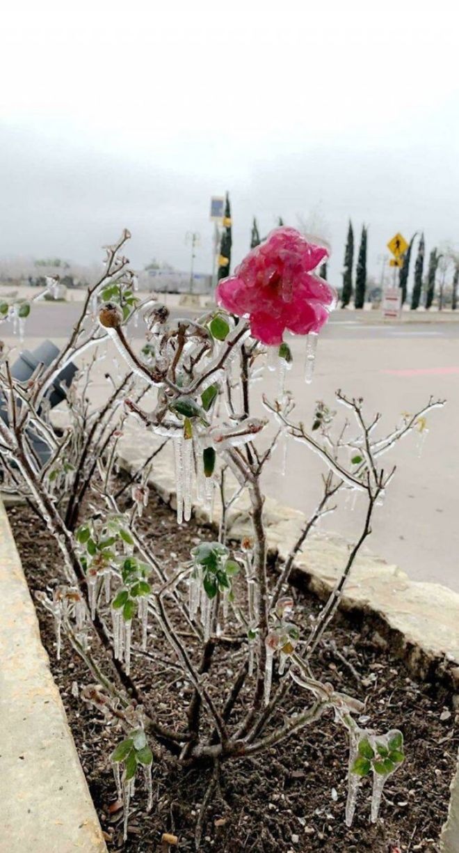 16 Amazing Small Treasures Discovered Accidentally By Humans