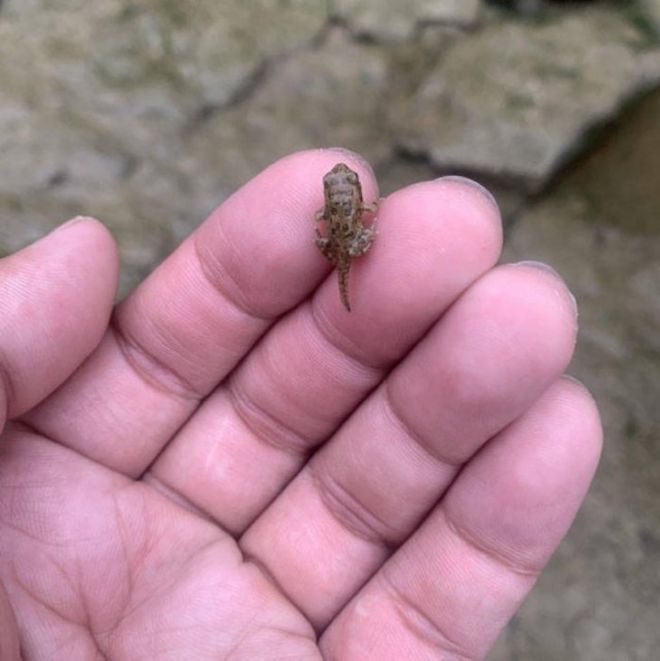 16 Amazing Small Treasures Discovered Accidentally By Humans