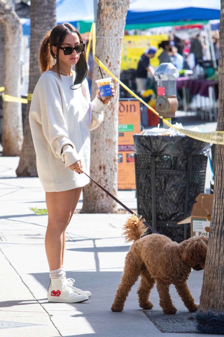 Inanna Sarkis Walking Her Dog At Alfred's In Studio City