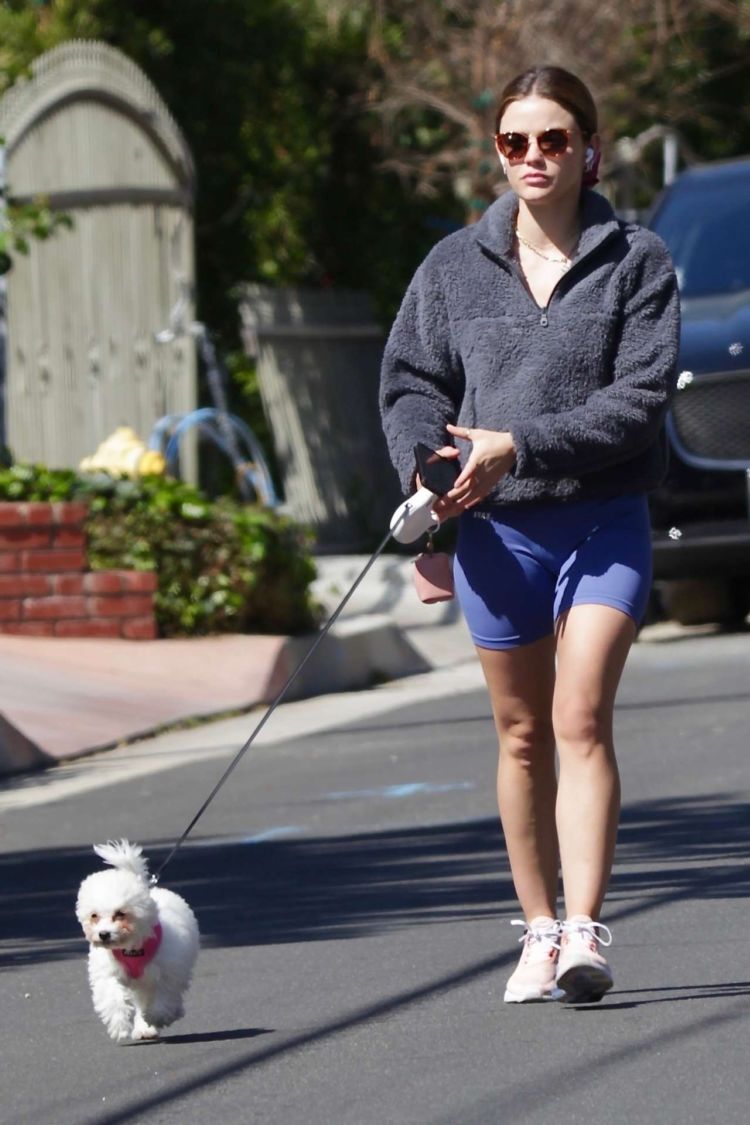 Lucy Hale Goes Out For A Walk In Los Angeles