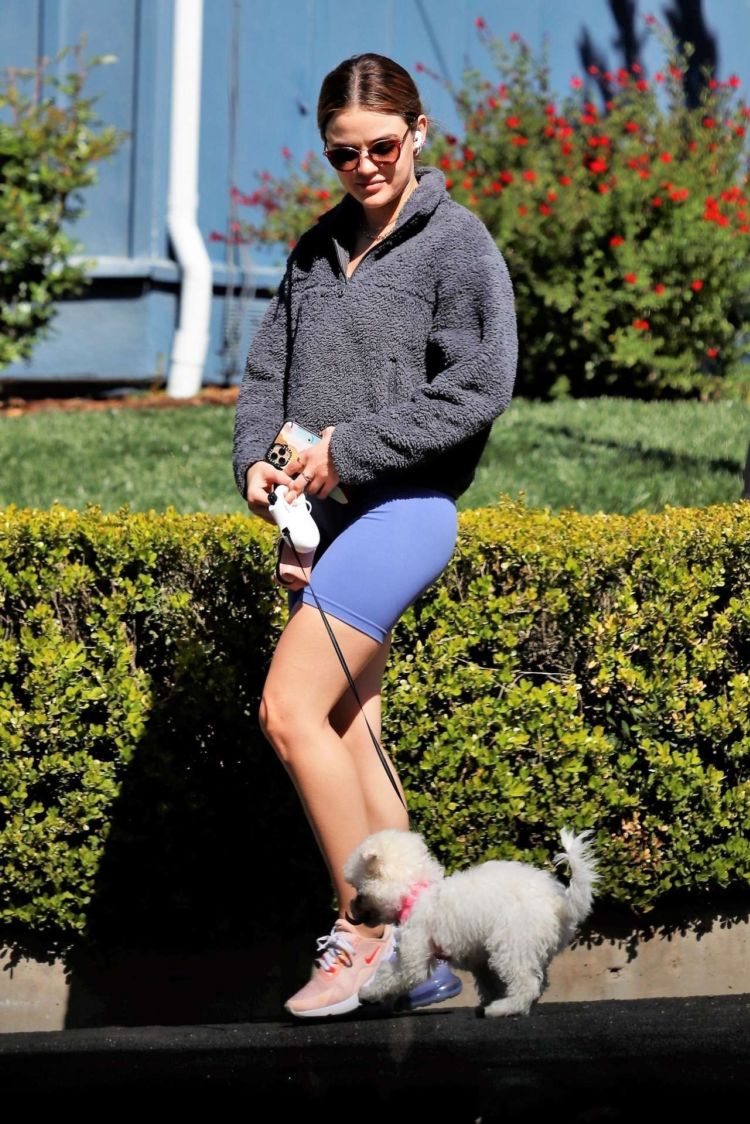 Lucy Hale Goes Out For A Walk In Los Angeles
