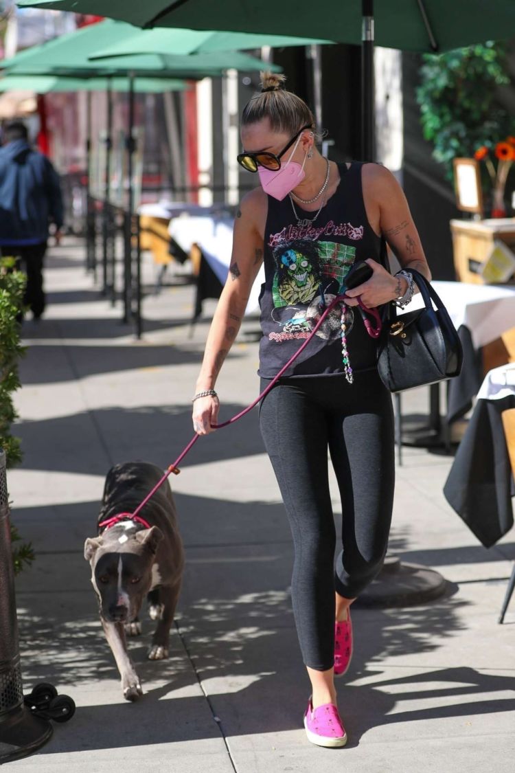 Miley Cyrus Spotted Walking Her Dog Out In Beverly Hills