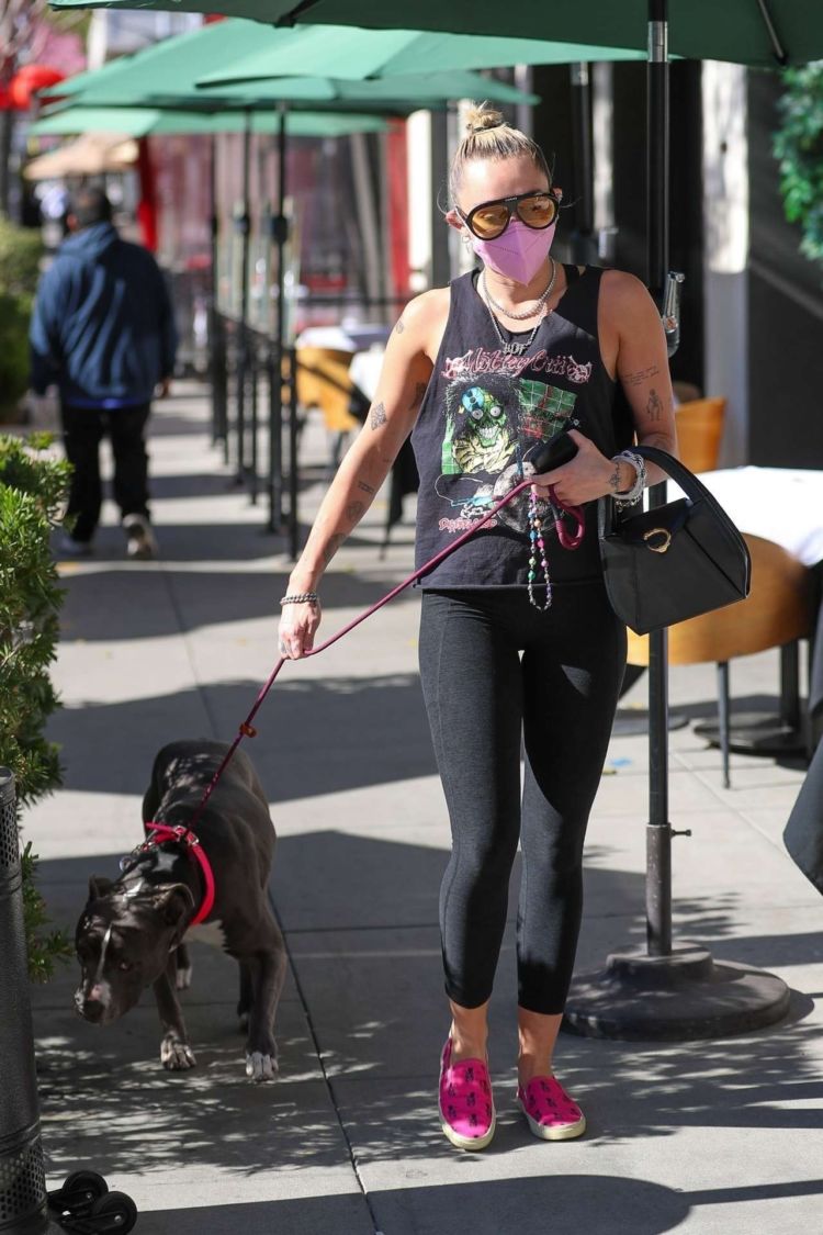 Miley Cyrus Spotted Walking Her Dog Out In Beverly Hills