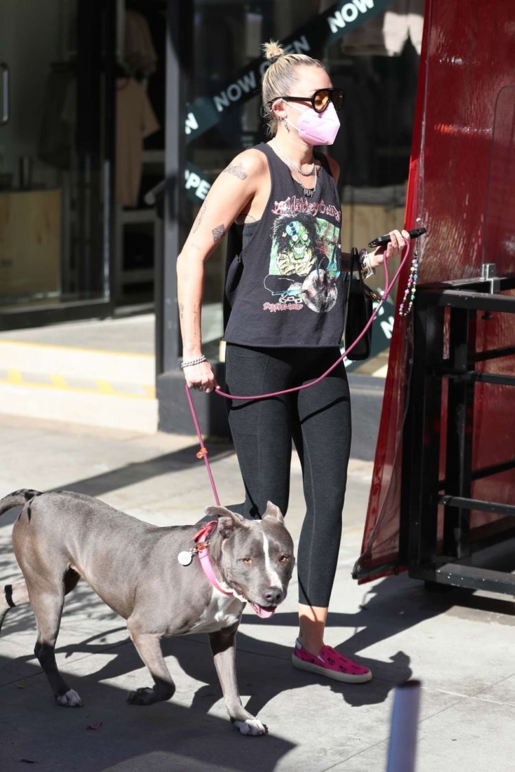 Miley Cyrus Spotted Walking Her Dog Out In Beverly Hills