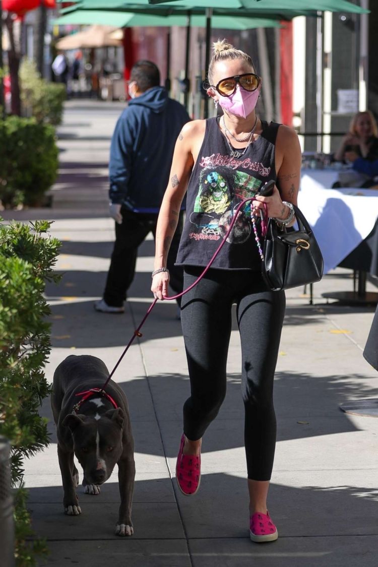 Miley Cyrus Spotted Walking Her Dog Out In Beverly Hills