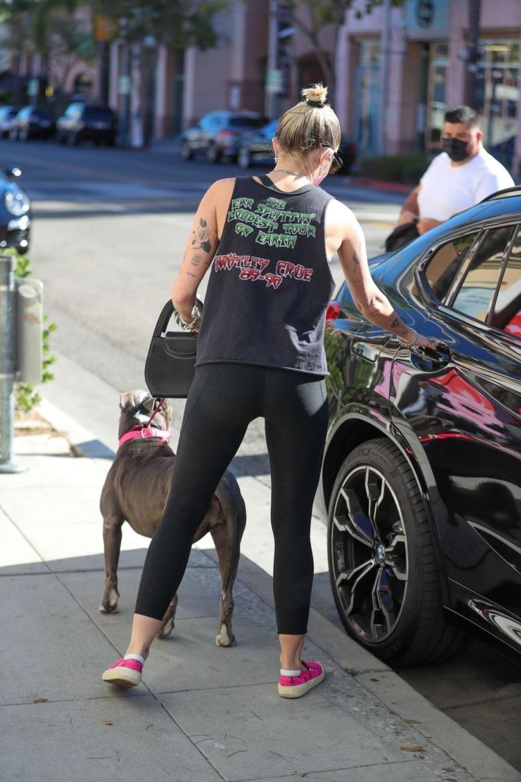 Miley Cyrus Spotted Walking Her Dog Out In Beverly Hills