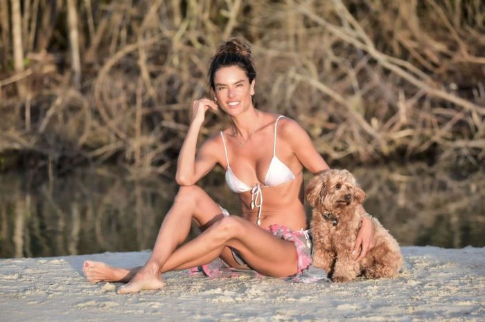 Alessandra Ambrosio In A White Bikini With Her Dog In Florianopolis