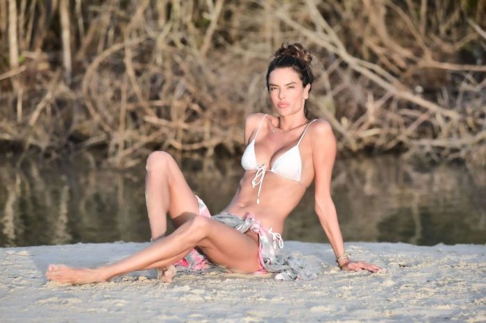 Alessandra Ambrosio In A White Bikini With Her Dog In Florianopolis